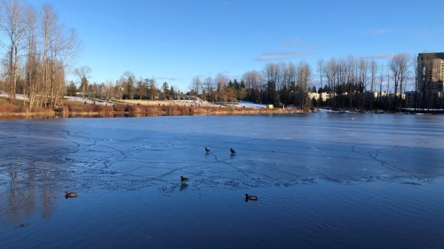 Coquitlam - Flood Preparedness